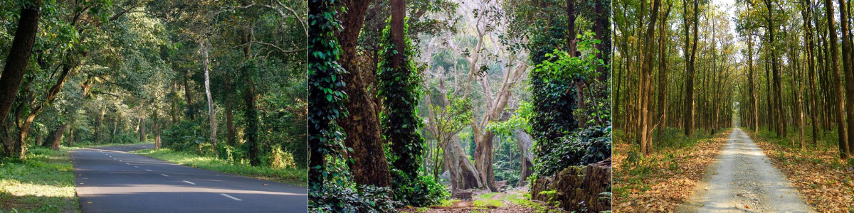 Offbeat destinations near siliguri