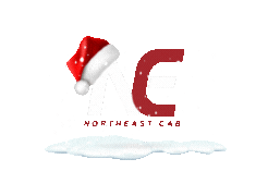 NEC logo