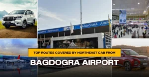 Northeast Cab from Bagdogra