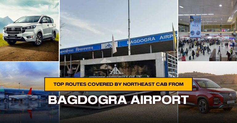 Northeast Cab from Bagdogra