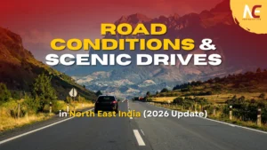 Road conditions & Scenic drives