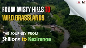 Shillong to Kaziranga